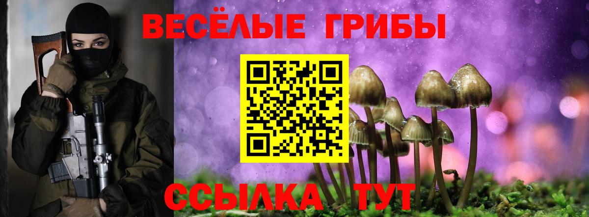 Наро-Фоминск  Галлюциногенные грибы Psilocybine cubensis  Вход с VPN 